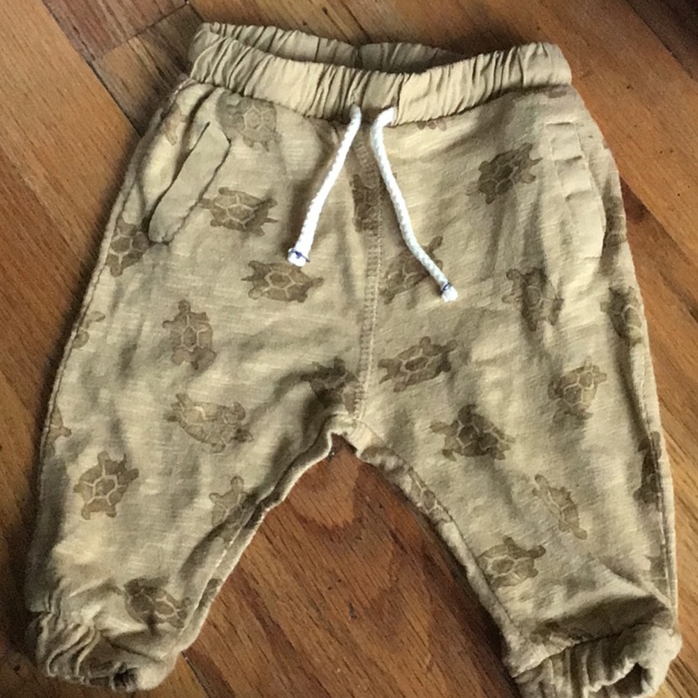 Zara Pants